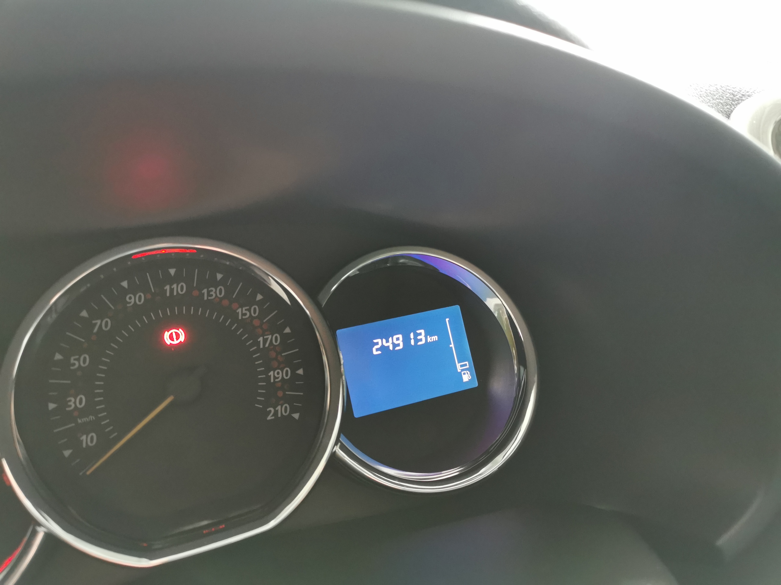 Renault Sandero после домашних животных.